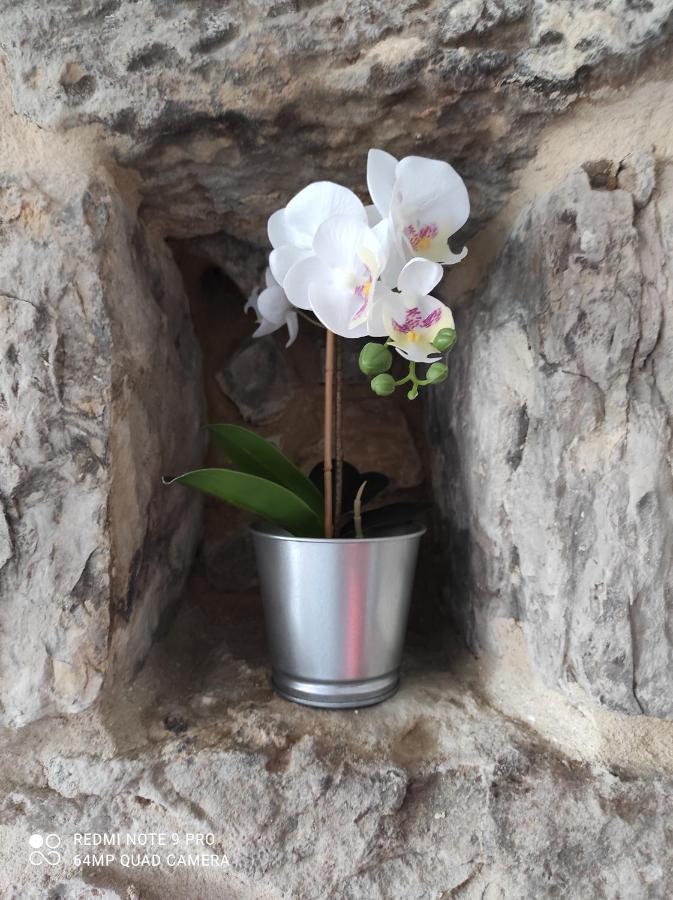 Apartamento La casita del abuelo Galizano Exterior foto
